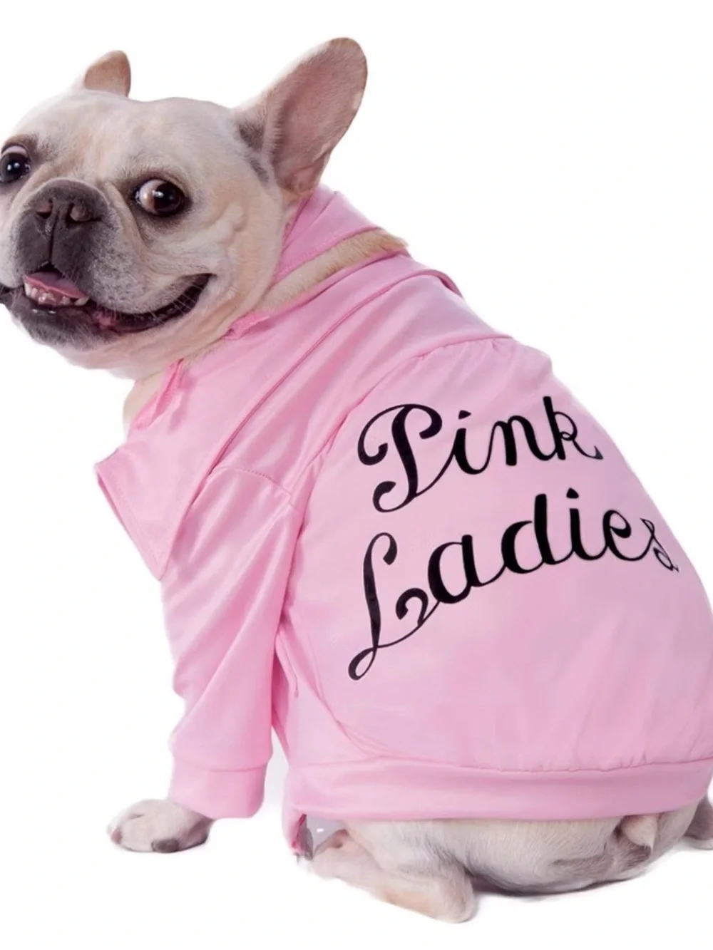 Grease: Pink Ladies Pet Costume/Outfit